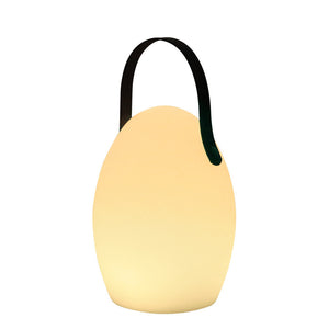 Portable Handheld Night Light & Camping Table Lamp