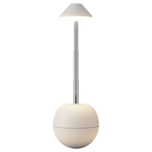 Rechargeable Tumbler Night Light (Remote)