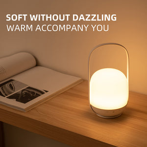 Remote Handheld Light