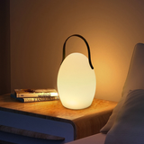Portable Handheld Night Light & Camping Table Lamp