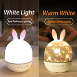 Bunny Galaxy Projector