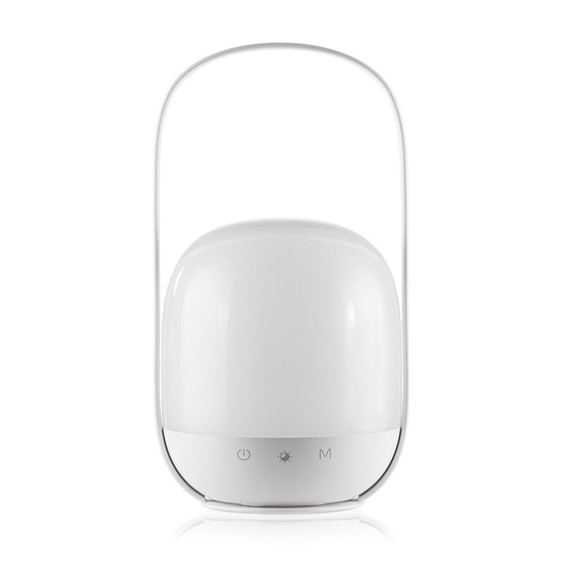 Remote Handheld Light